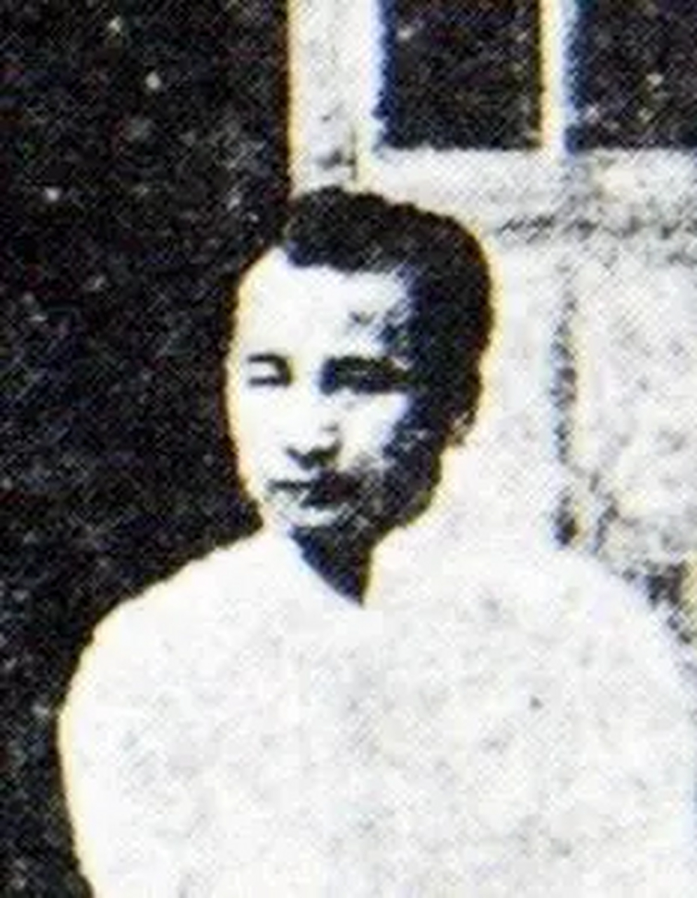 绿林省长翟汪 翟汪,汉族广府人,生于广东新兴天堂镇朱所村.