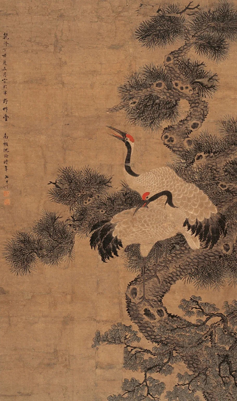 清代画家沈铨画鹤作品欣赏#国画# #艺术# #美术
