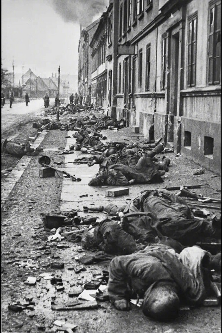 被瞬间歼灭的纳粹德军部队.