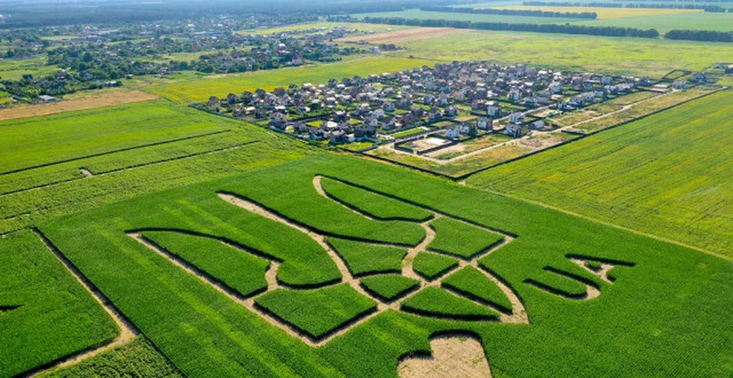 乌克兰平原黑土地图片