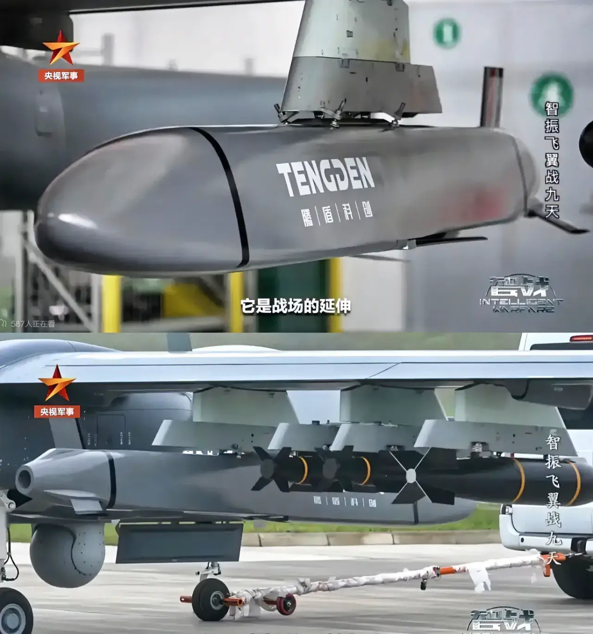 ts-20是世界上第一款射程最远的无人机专用巡航导弹.