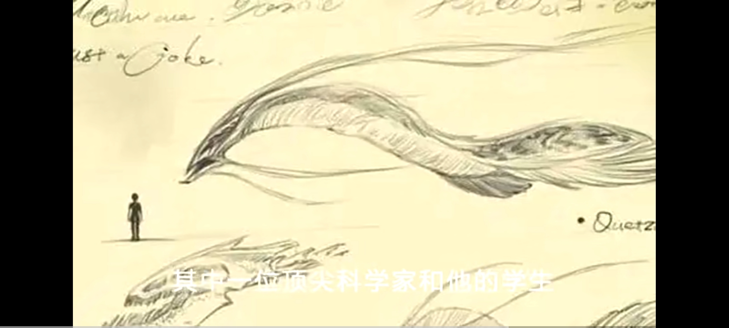 神秘的大气生物,透明的摩根巨龙及遗骸的高清卫星图片