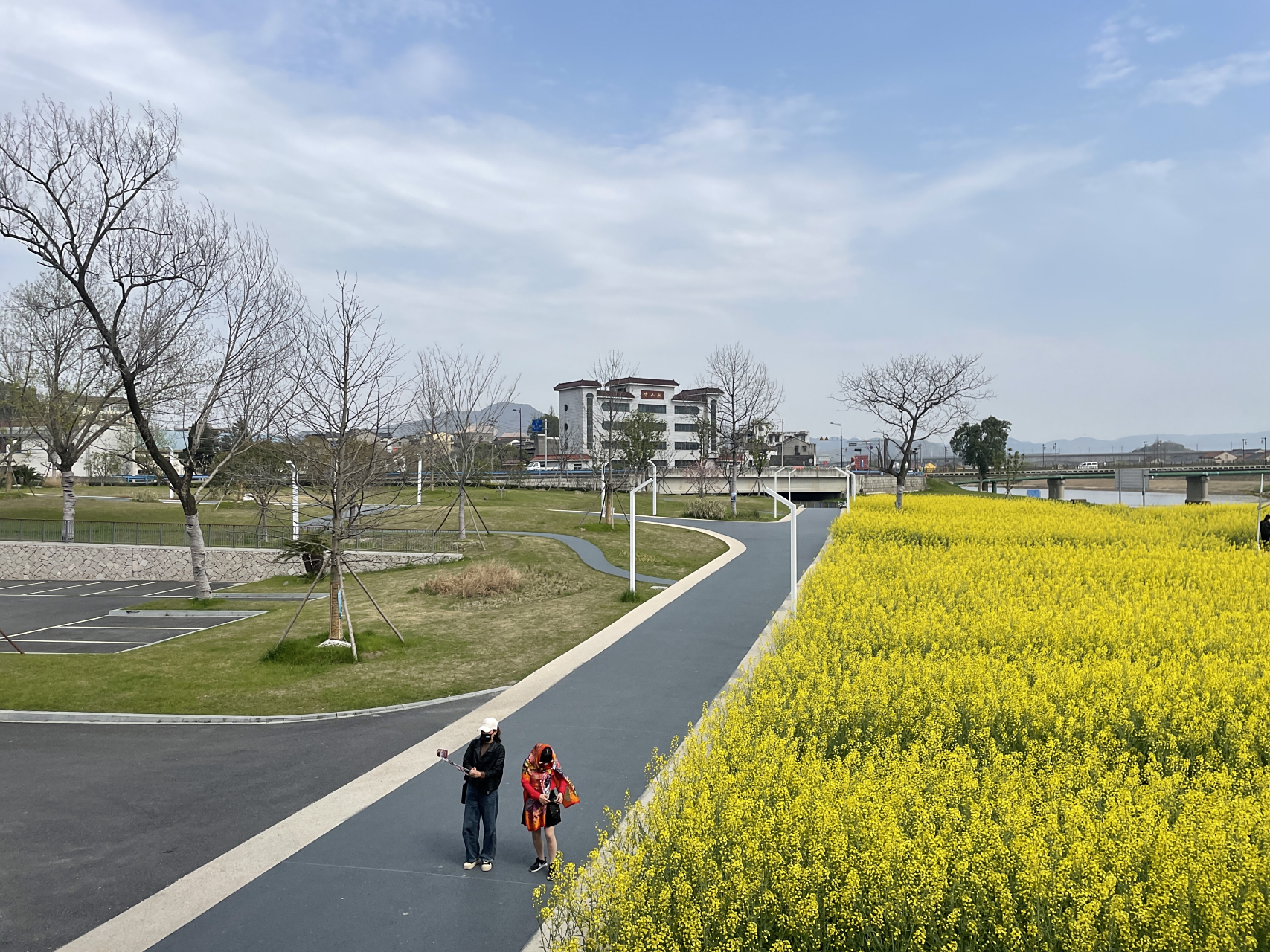 杭州市萧山区临浦镇乡村田园风光油菜花风景