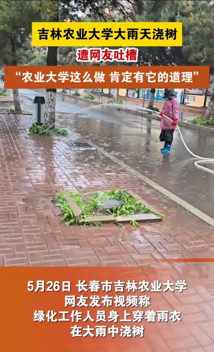 下雨天树还用浇吗?这究竟有什么道理?