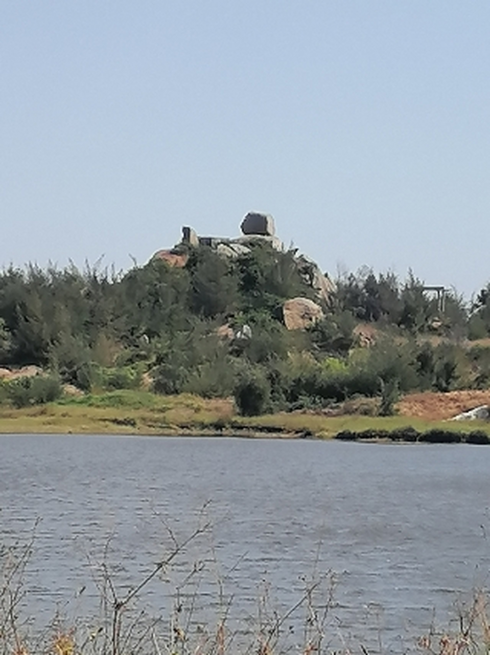 登高望远 卓洲松 重阳古意万人忙, 登顶麒麟草木芳.