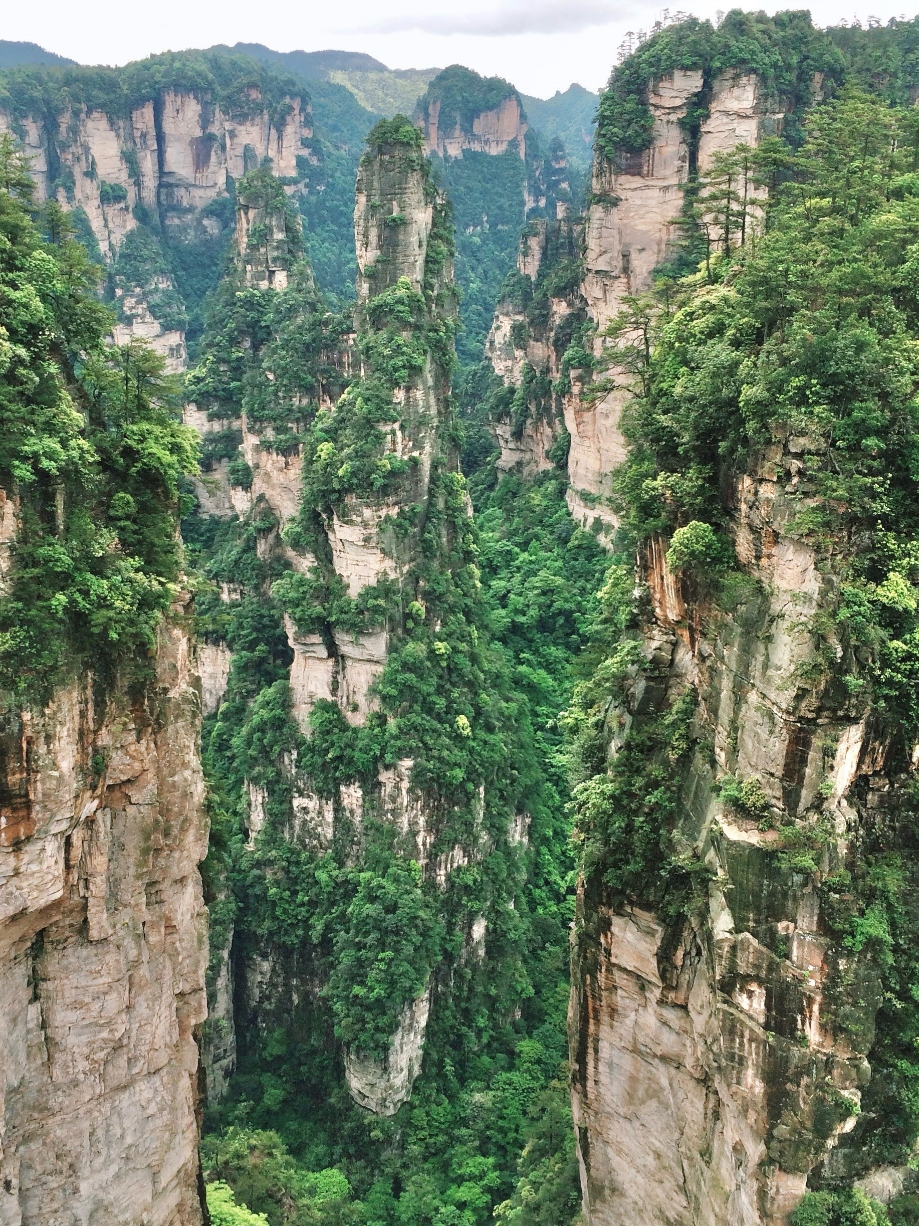 芙蓉峰公园图片