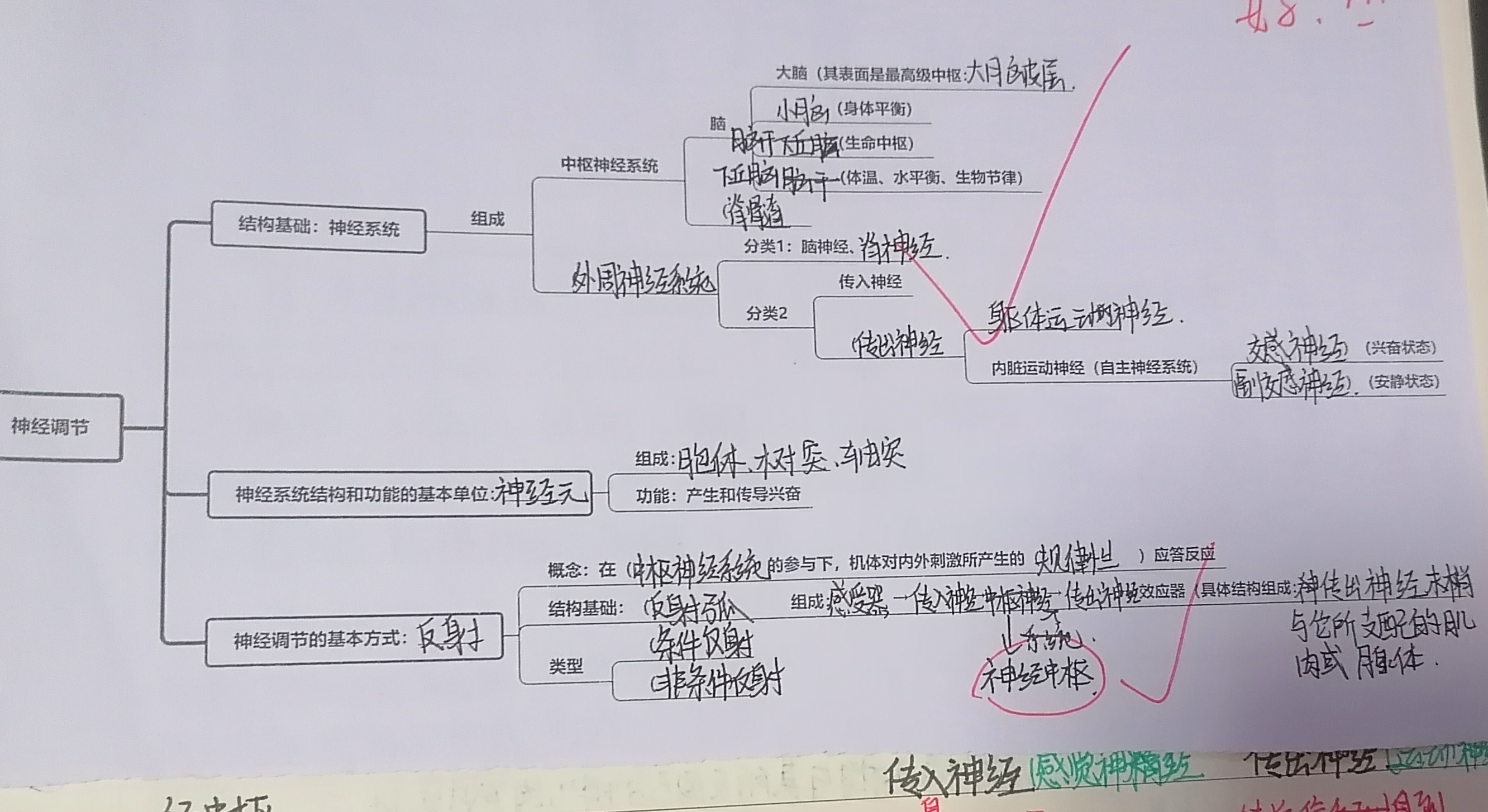 选择性必修一第二章