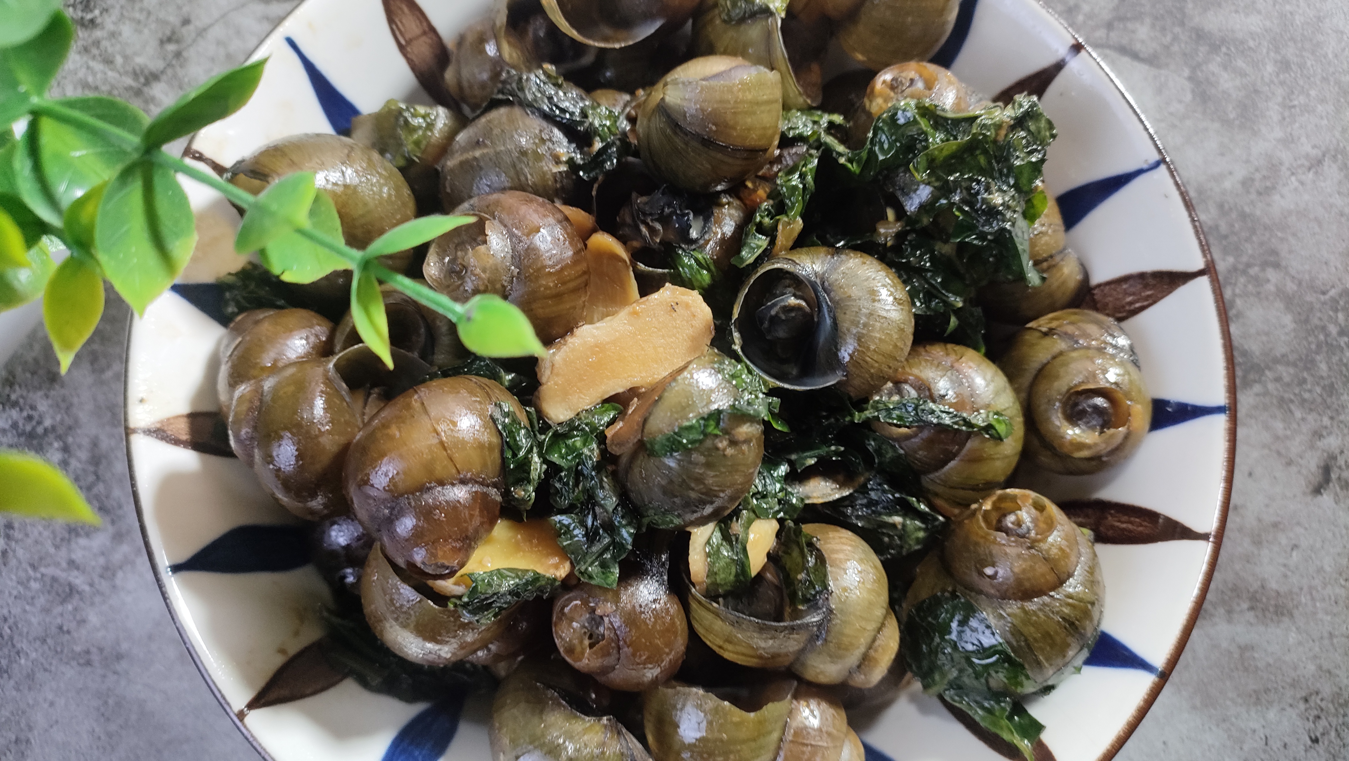 动态连更挑战#炒田螺是一道风味独特的广西特色美食,下面我们来了解