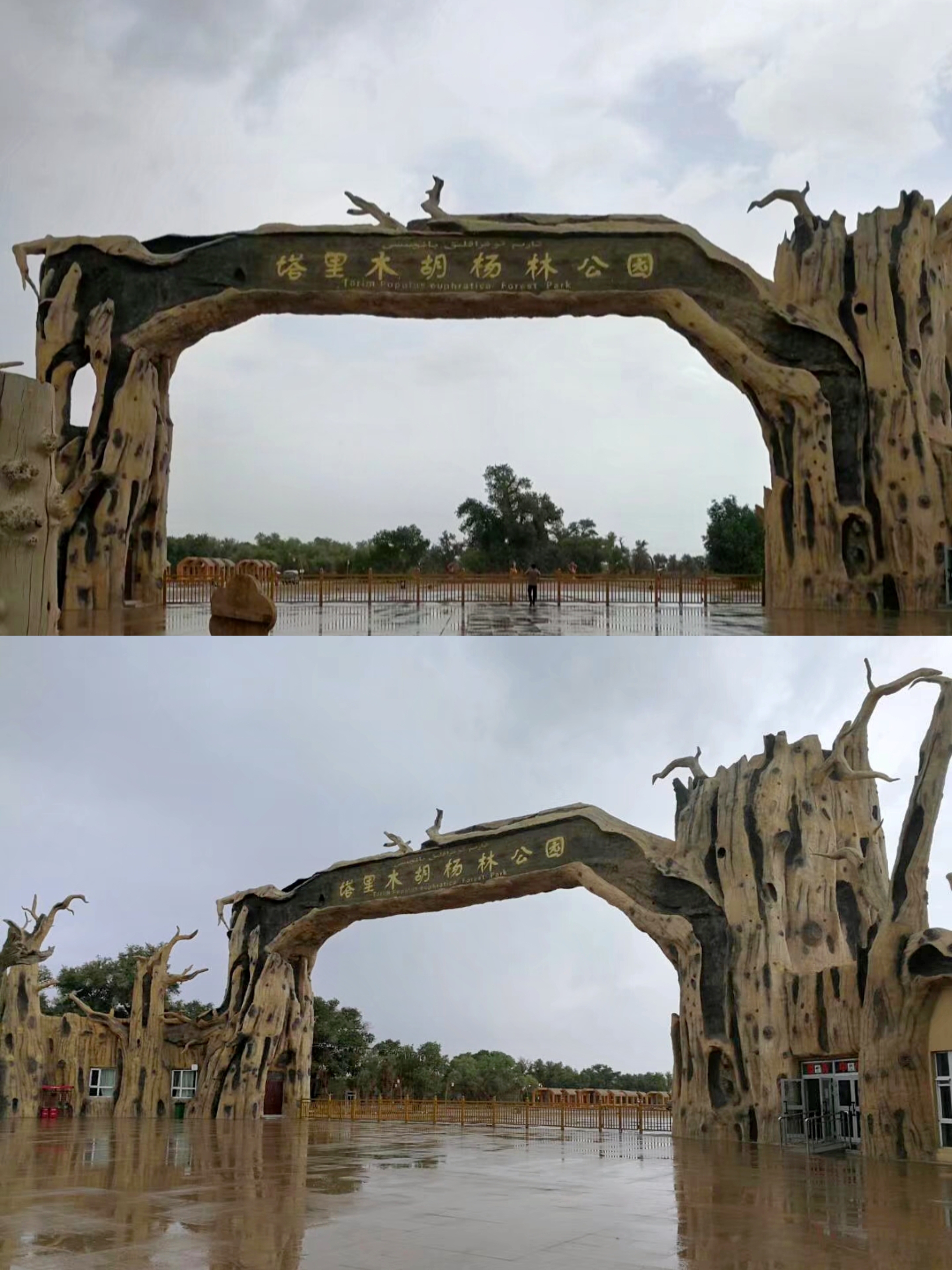 塔里木胡杨林公园  位于轮台县轮南镇人民政府北侧,大约在沙漠公路86