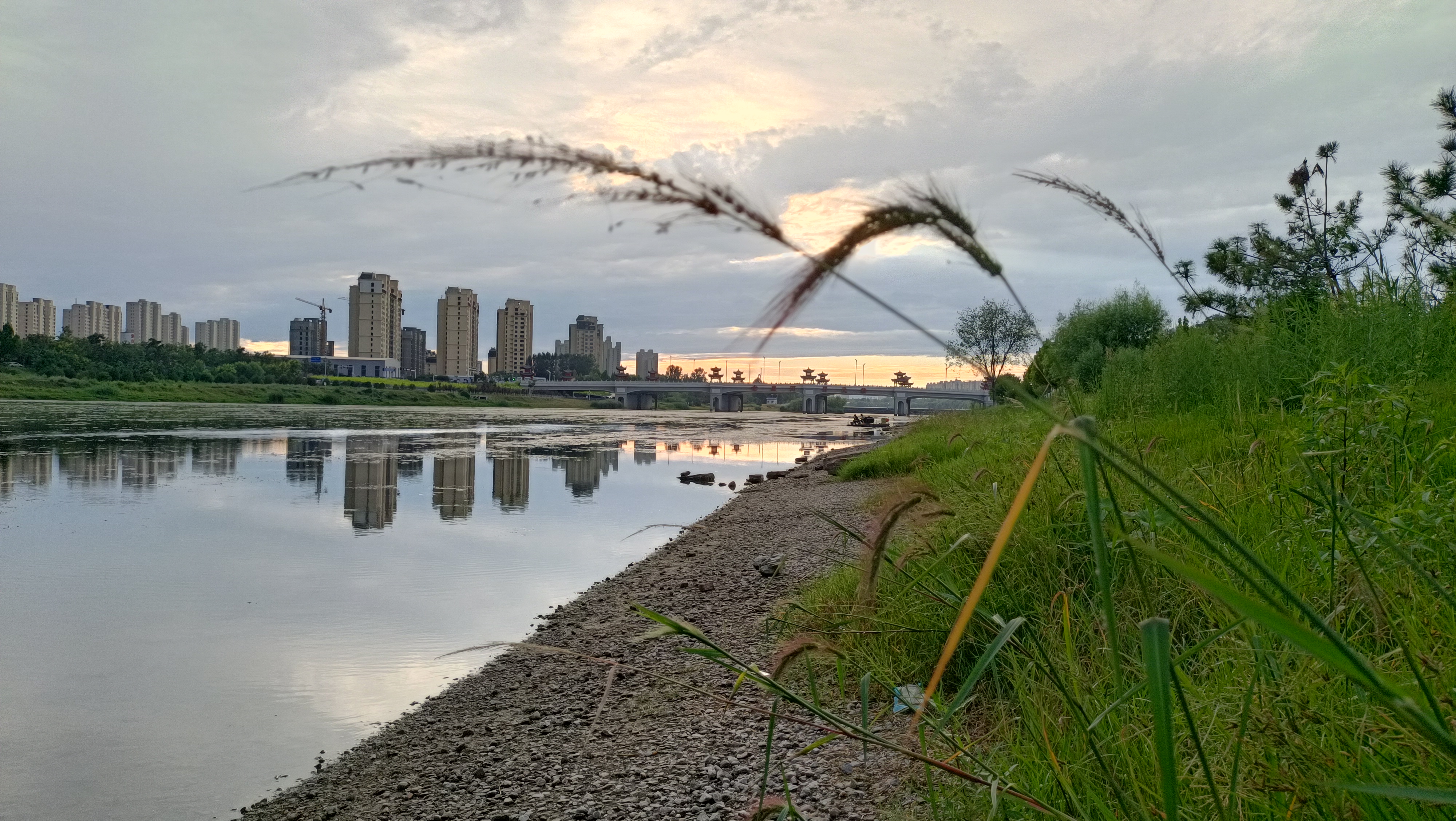 念你风雨无阻 岁月的脚步走进八月的尾声,我们迎来了一年的七夕,将