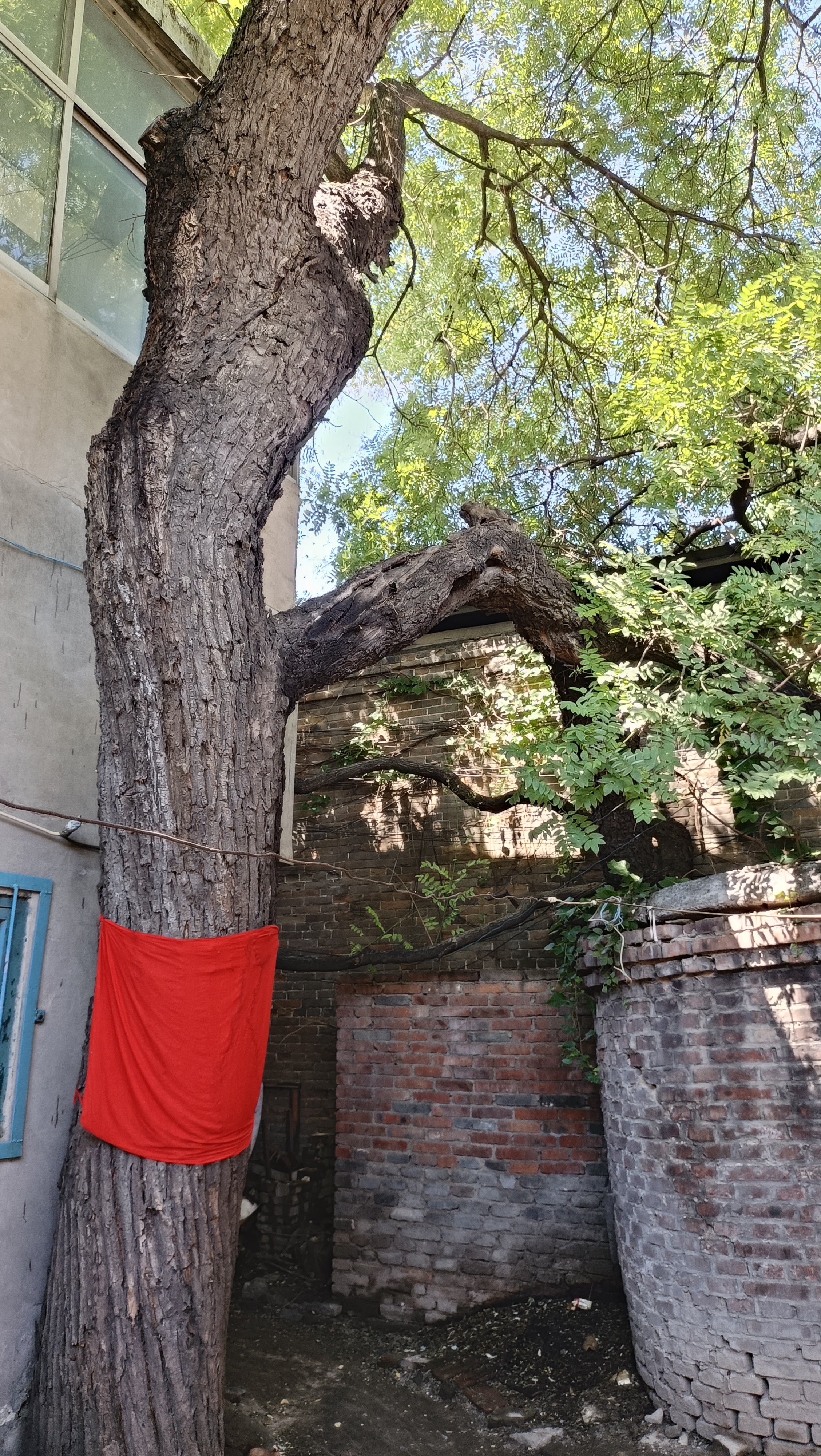 邢台街巷文化系列报道(50)——马市街        马市街位于北大街街道