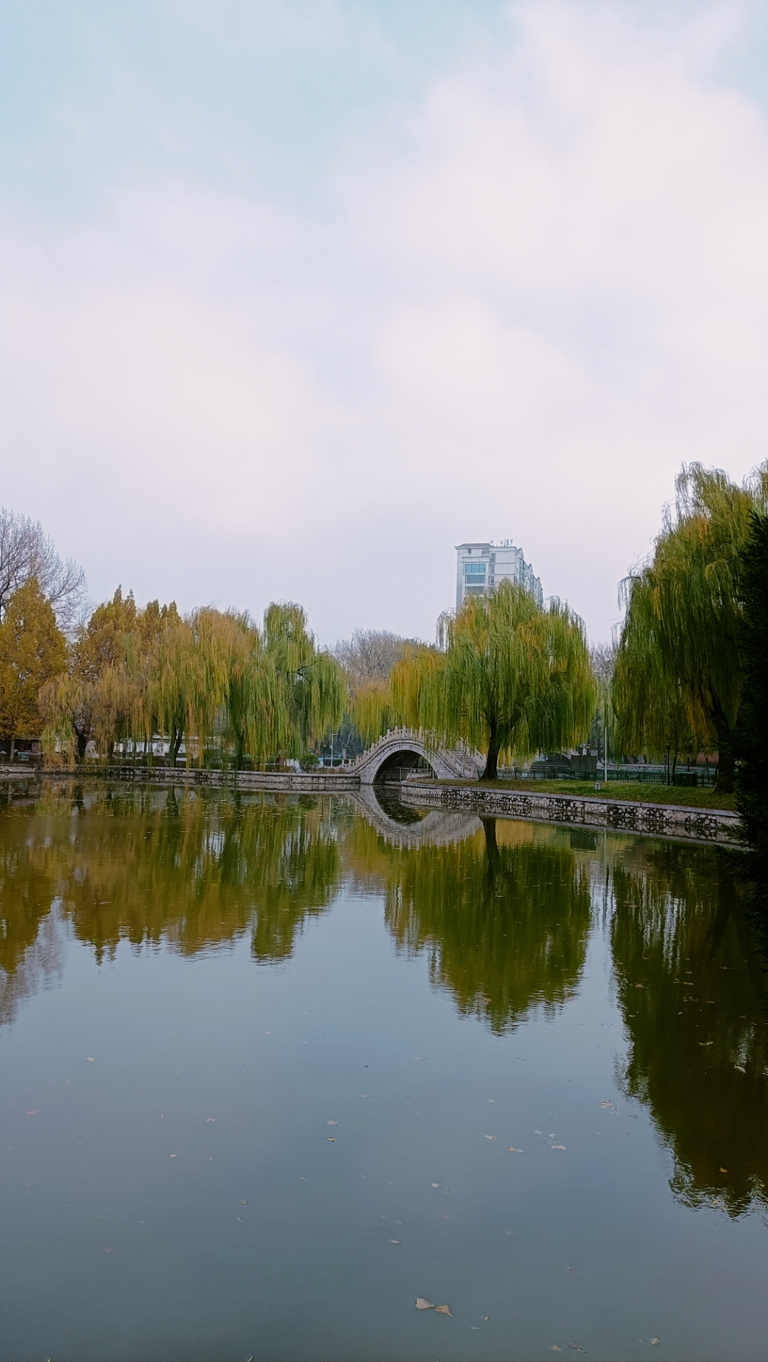 湖边的秋色,真想和你一起漫步. 邢台市达活泉公园秋色迷人