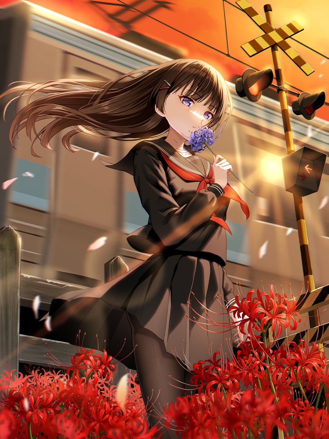 二次元# 少女与彼岸花
