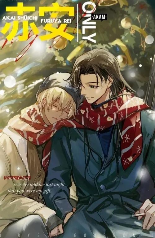 莱伊和波本 冲矢昴和安室透 赤井秀一和降谷零 何尝不是一种相互救赎