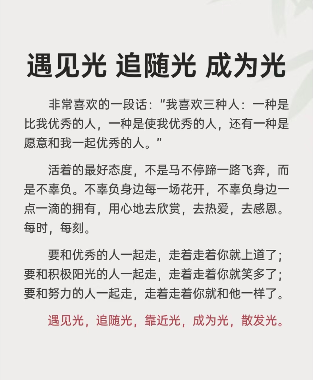 寻找光成为光图片