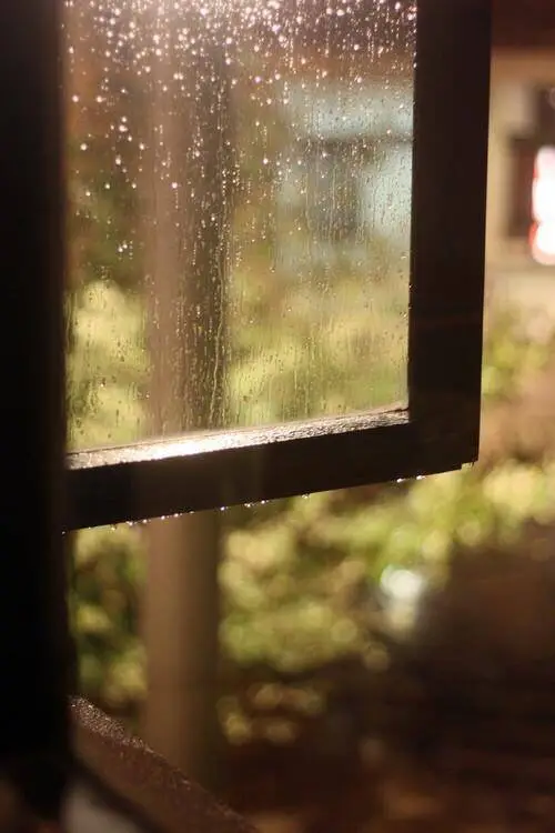 窗外雨声滴答,屋内弥漫着九华黄精粥的香气