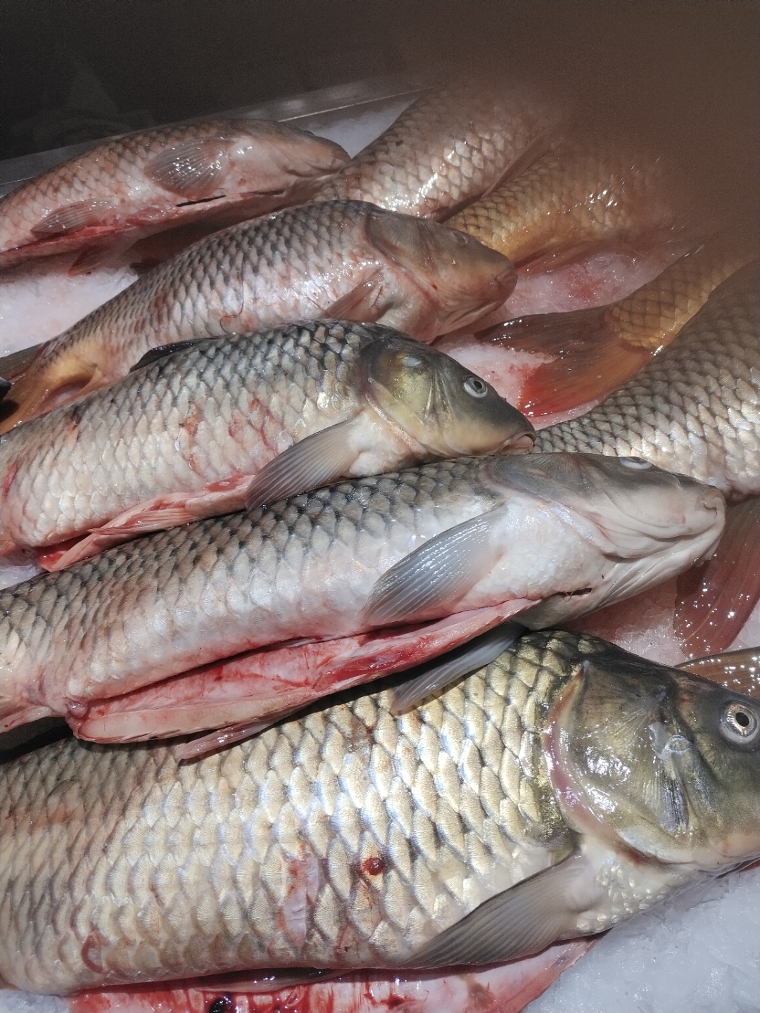 《好日子过得开心就好》欢乐逗号 去逛逛超市 去超市