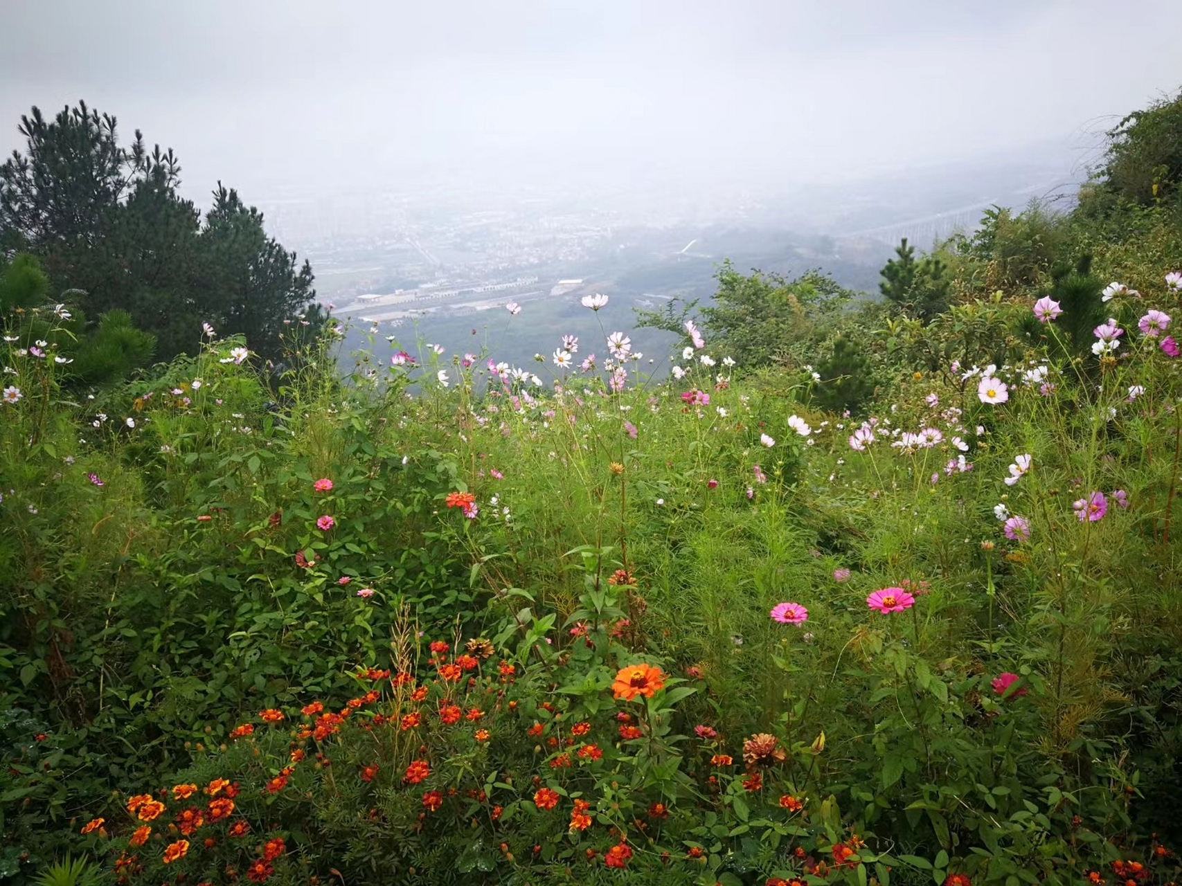 勉县纪行之天荡山:天荡山在勉县城北,隔汉江与定军山遥遥相对,互为