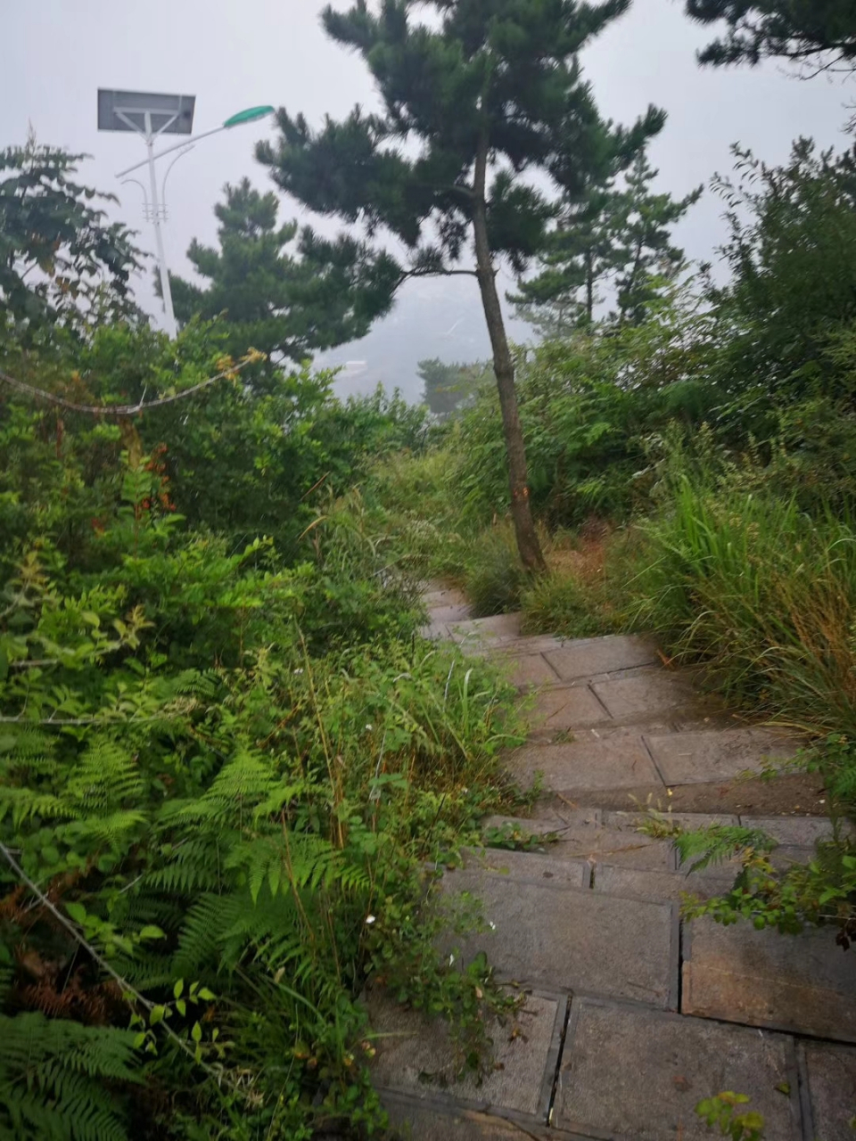 勉县纪行之天荡山:天荡山在勉县城北,隔汉江与定军山遥遥相对,互为