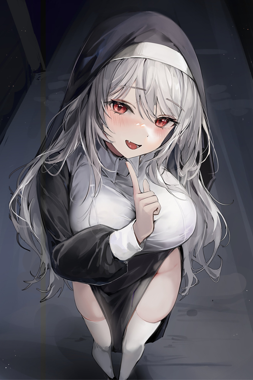 修女也疯狂#二次元# #修女