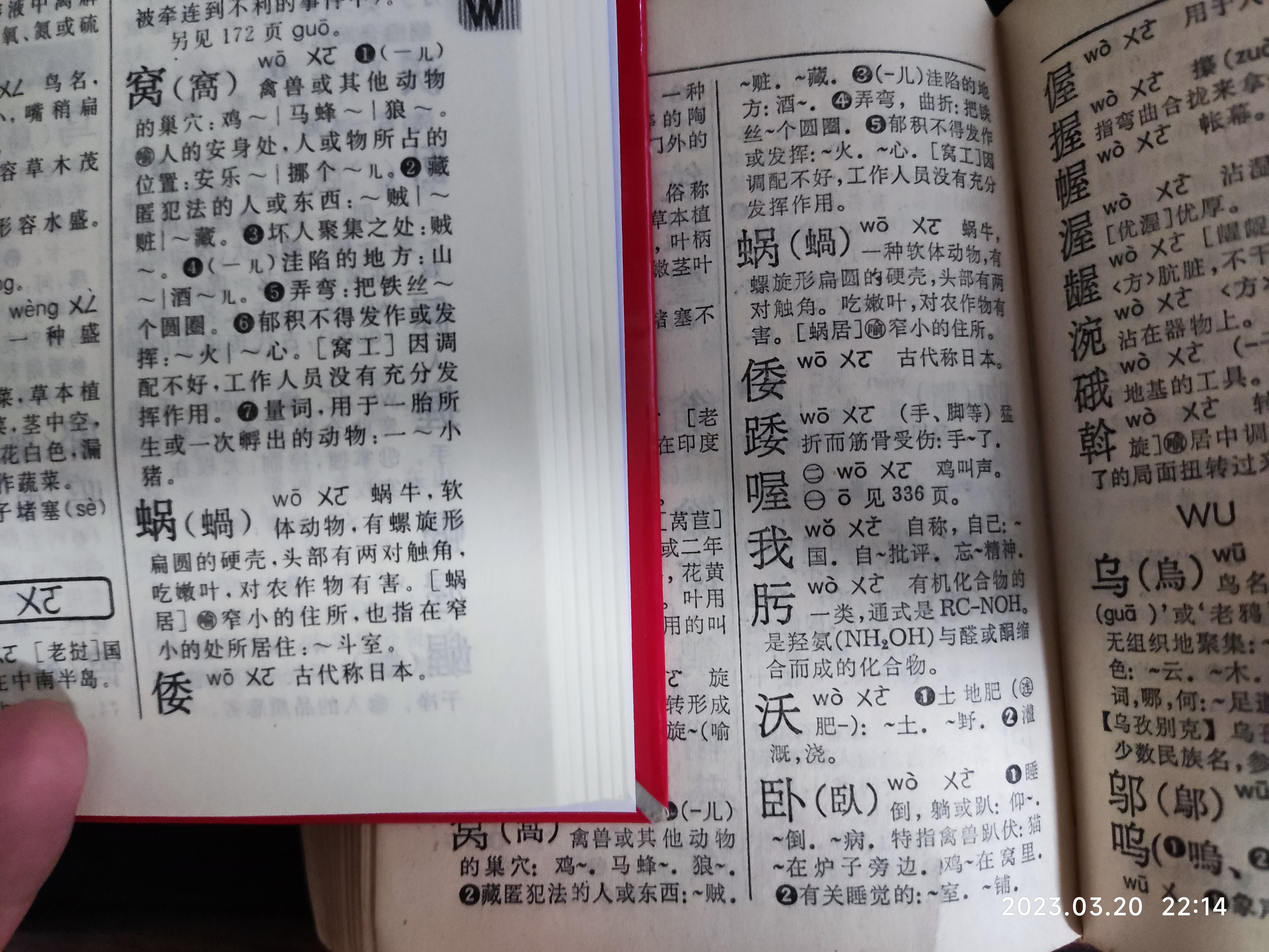 新华字典八画的字图片