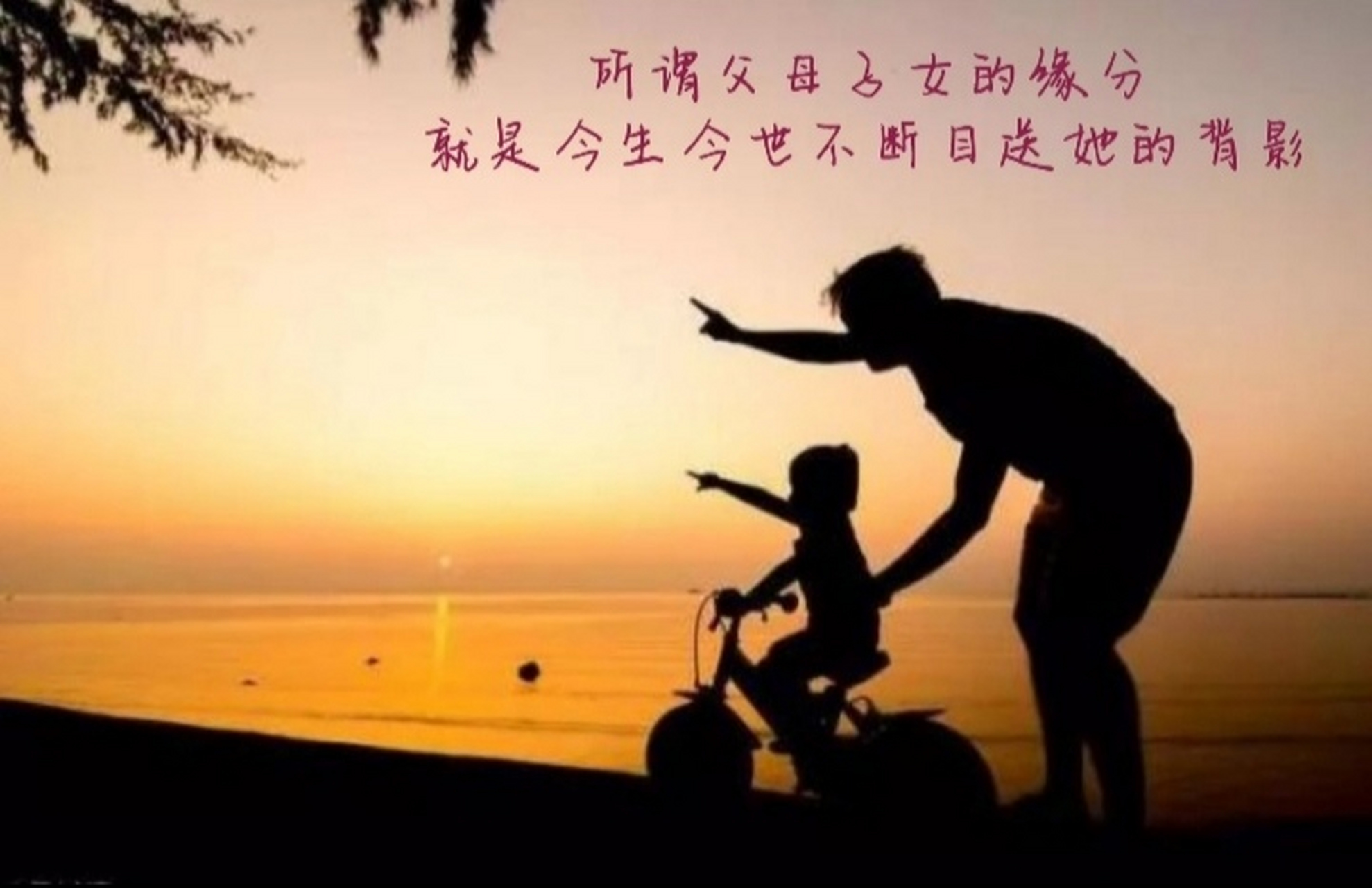 表哥的女儿,大学时学的预防医学,毕业后留就在北京发展,边工作边读研