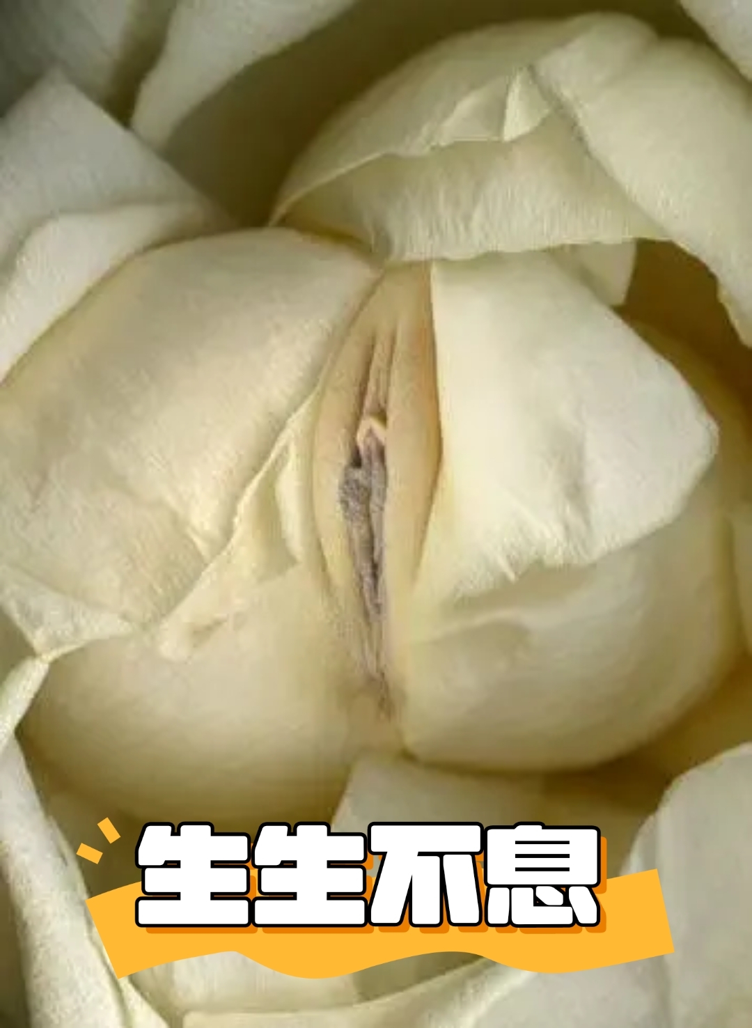 玄牝之门,是谓天地之根.