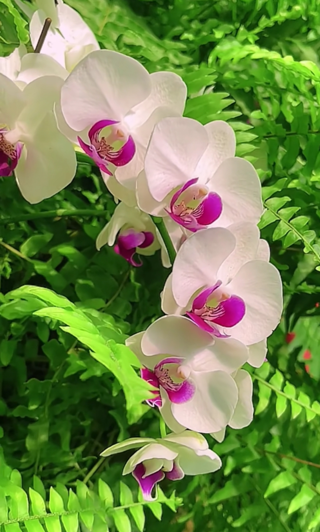 上联:请君赐 下联:明月别花花溅泪.