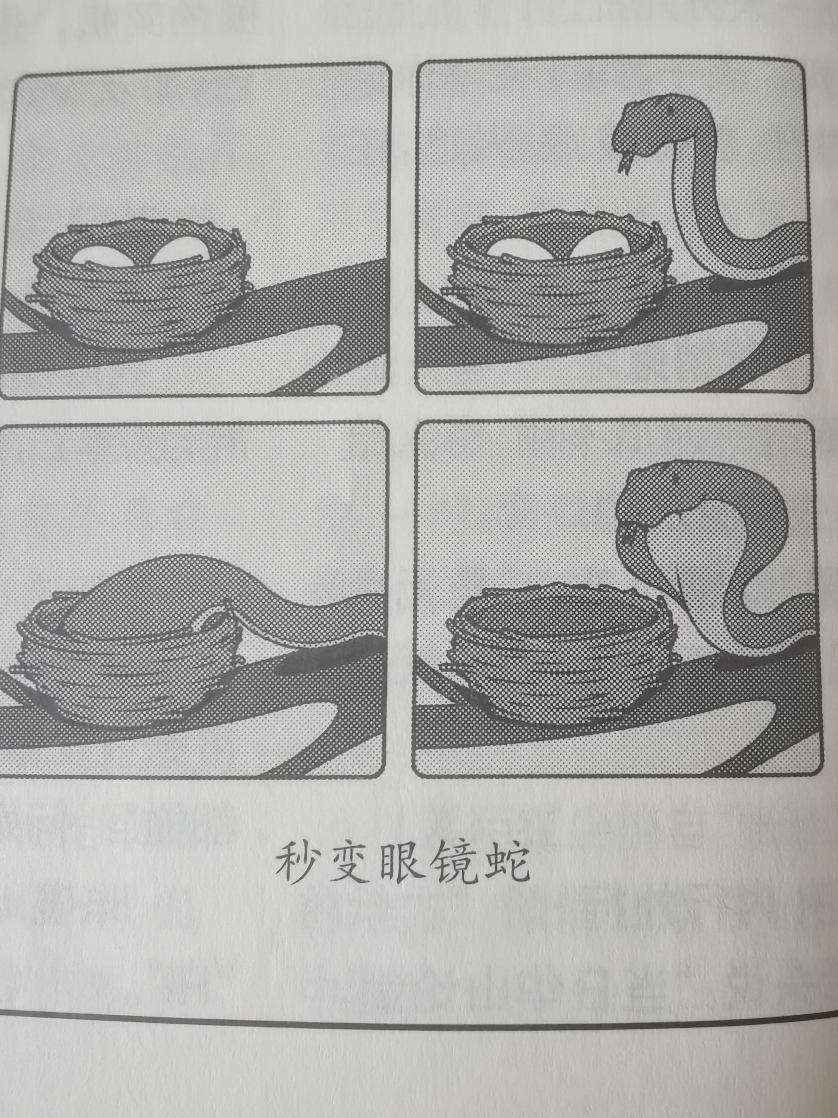 脑洞漫画#好笑# #搞笑漫画# #脑洞# #热点引擎计划# #动态连更挑战