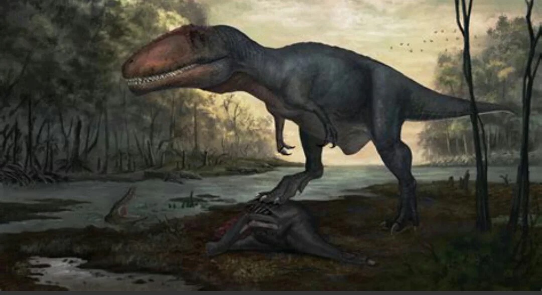 鲨齿龙科属于异特龙超科,虽然不能说它们俩师出同门,但二者