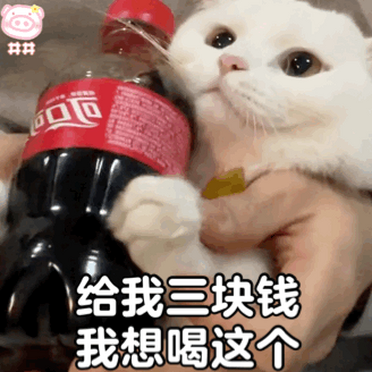 求求广大网友可以给我三块钱吗?