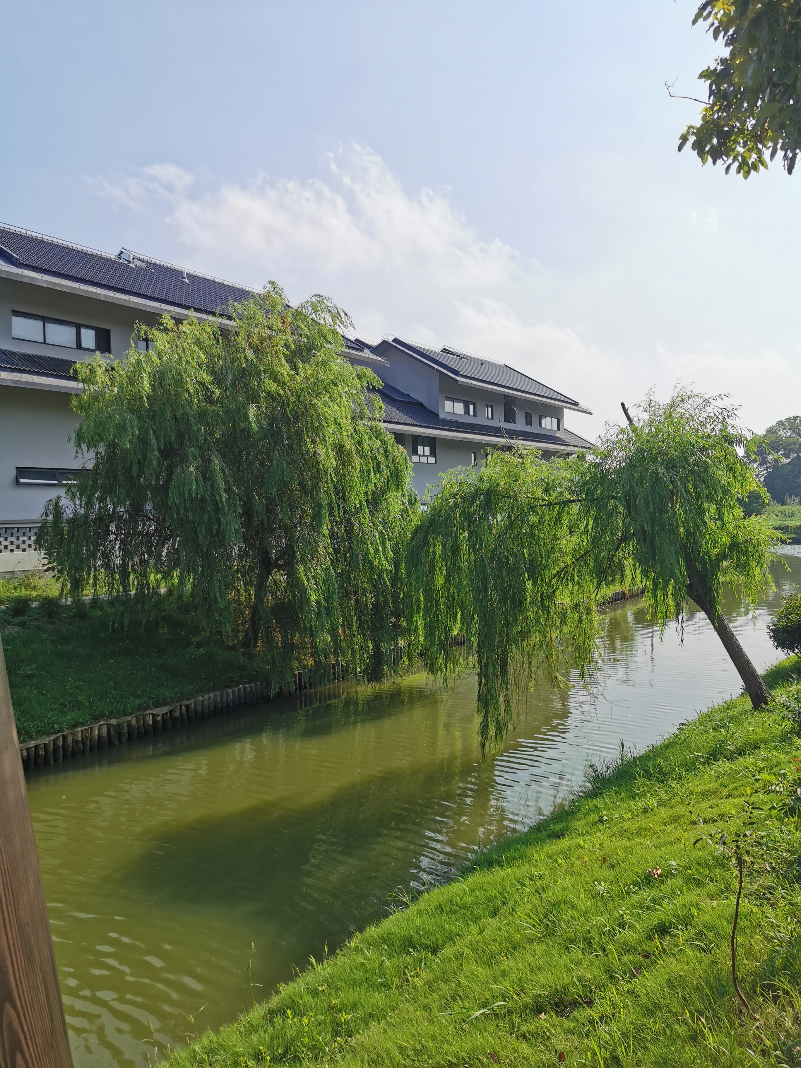 金山区漕泾镇水库村,上海地区很好的美丽乡村.