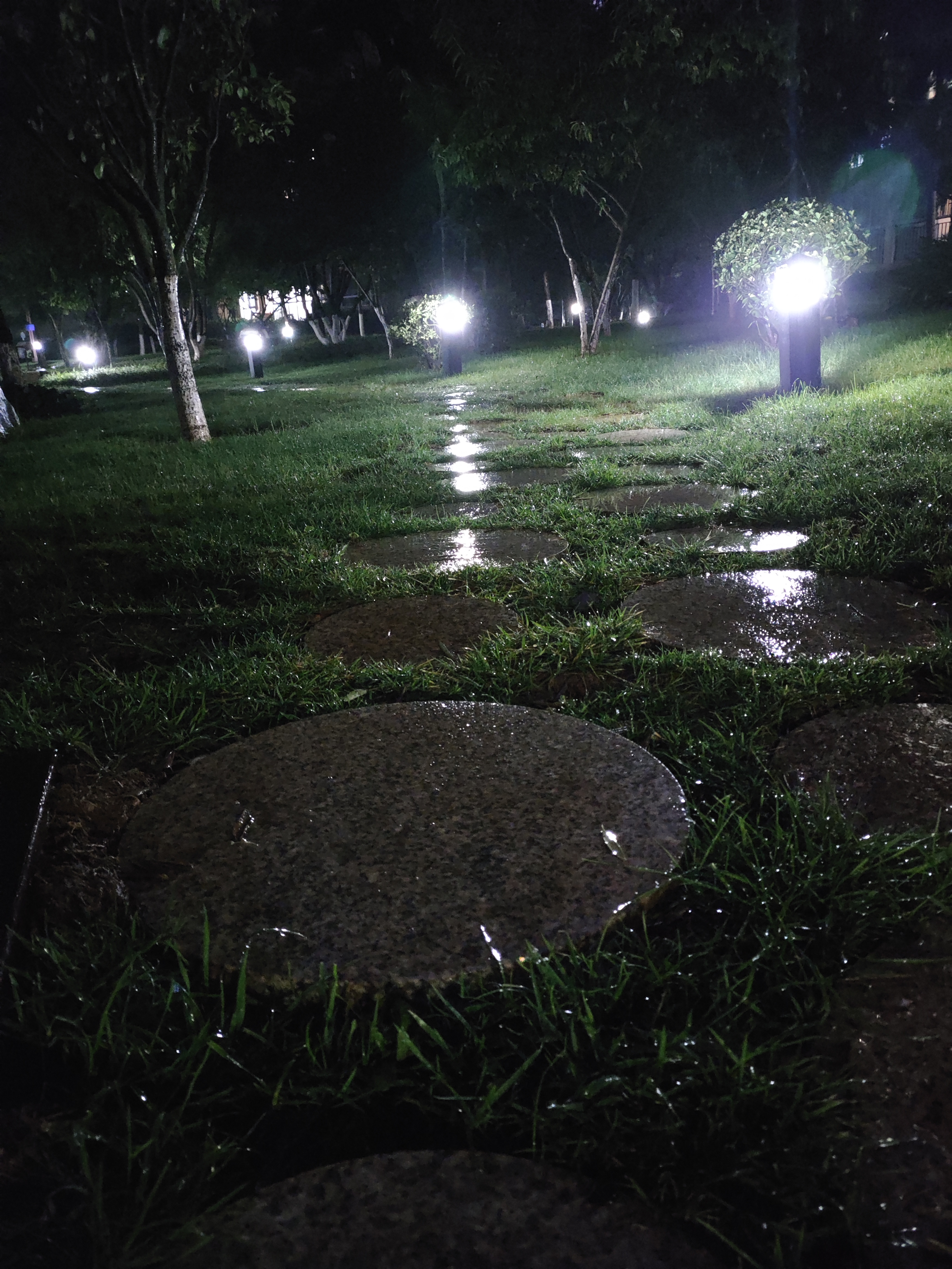 夜晚夜雨绵绵润无声, 灯火阑珊映水城