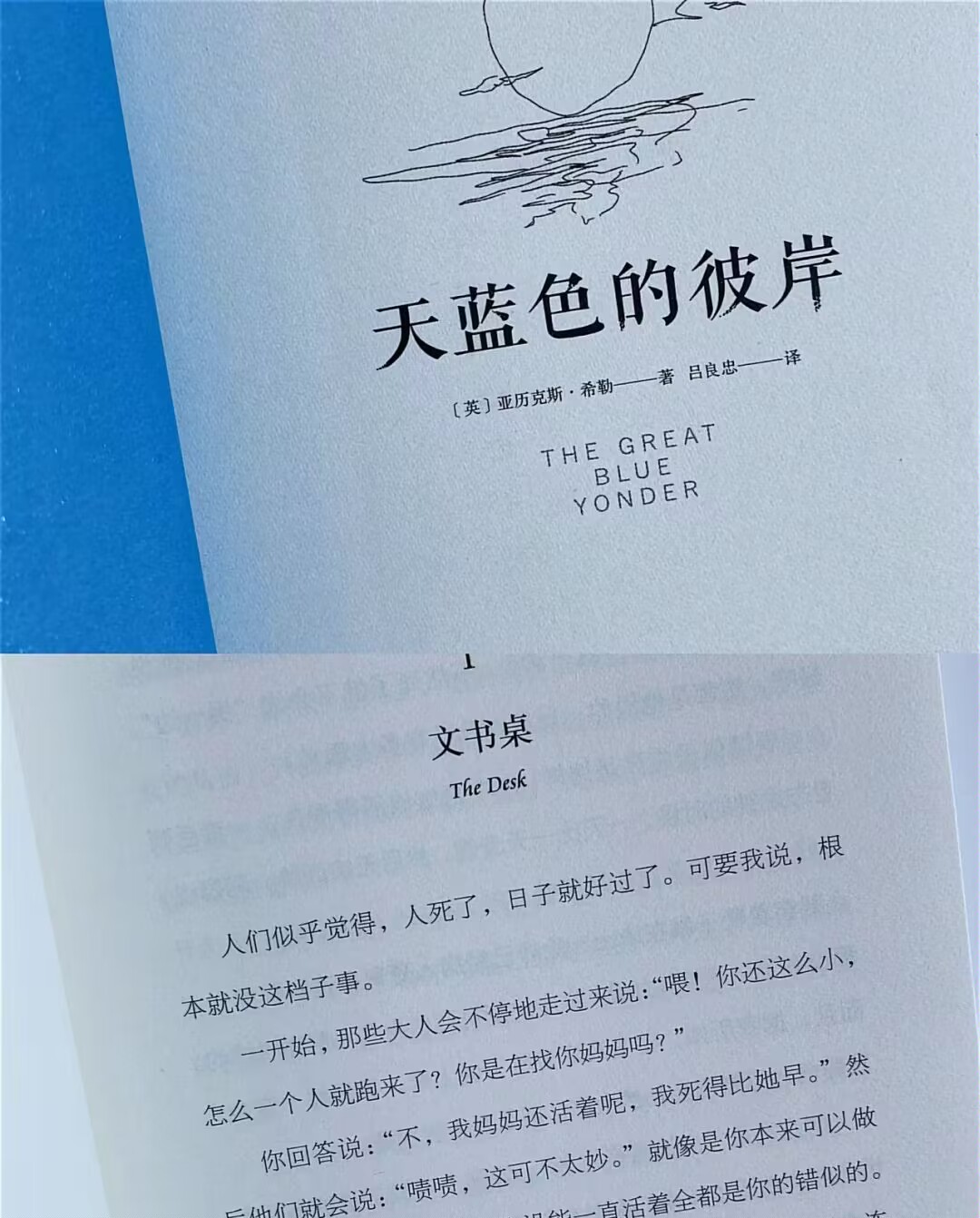 《天蓝色的彼岸》:一本让你笑中带泪的书!  嘿,书虫们!