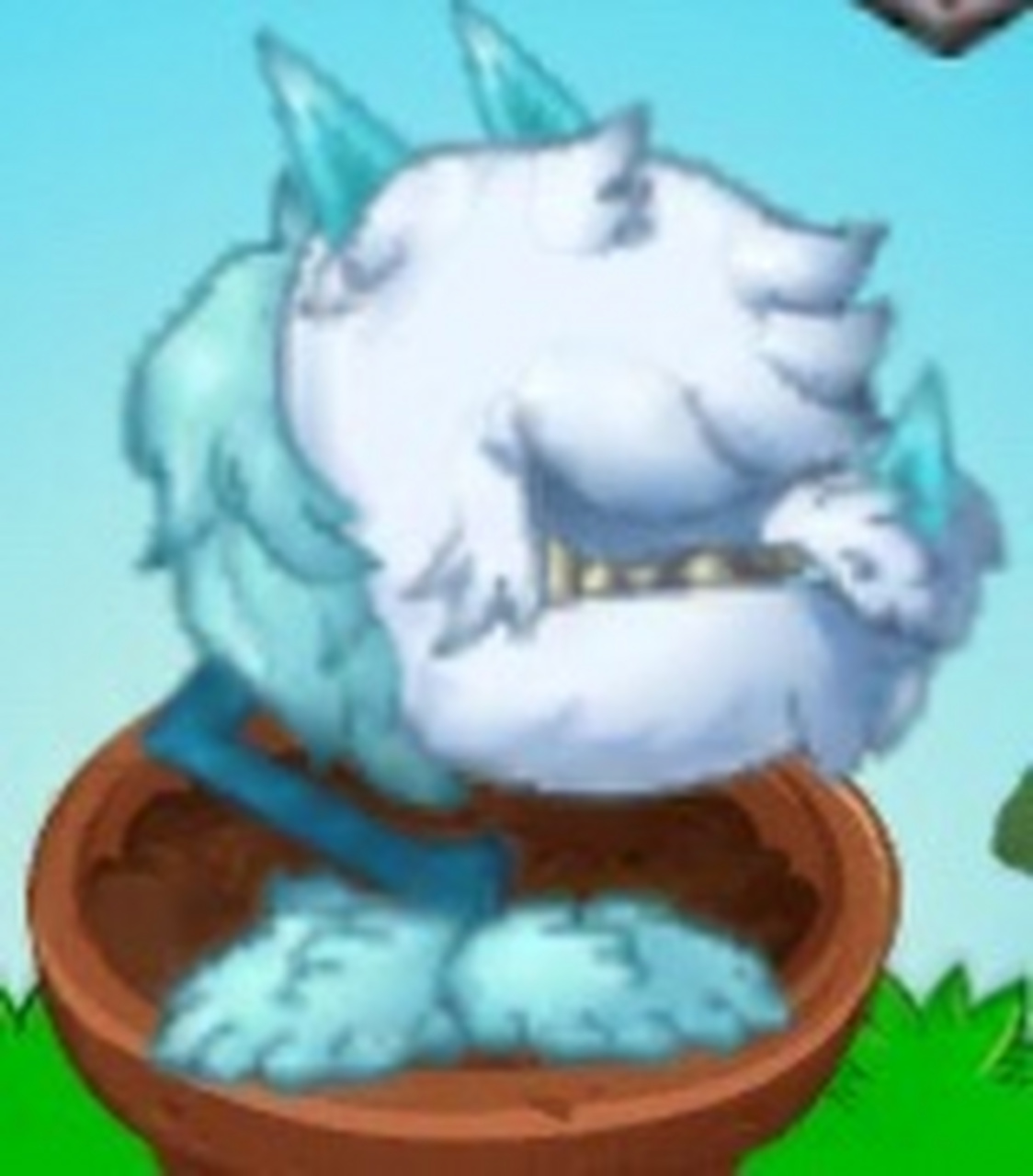 植物头像,给植物一个特写 no.11 左:冰龙草 右,火龙草