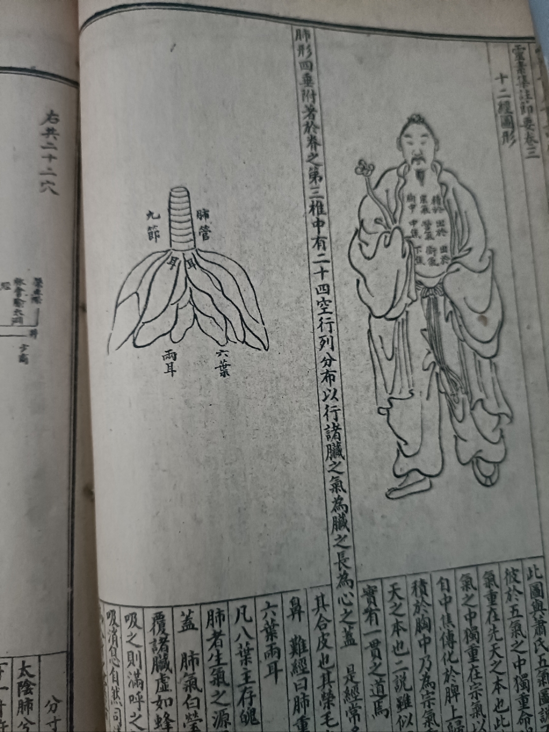 人生于世,当以慧心品生活之美,以巧手绘日子之彩