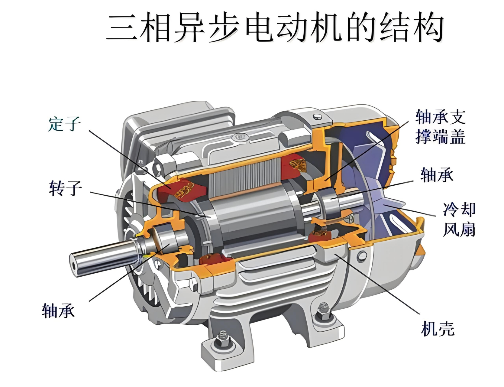 电动机结构示意图图片