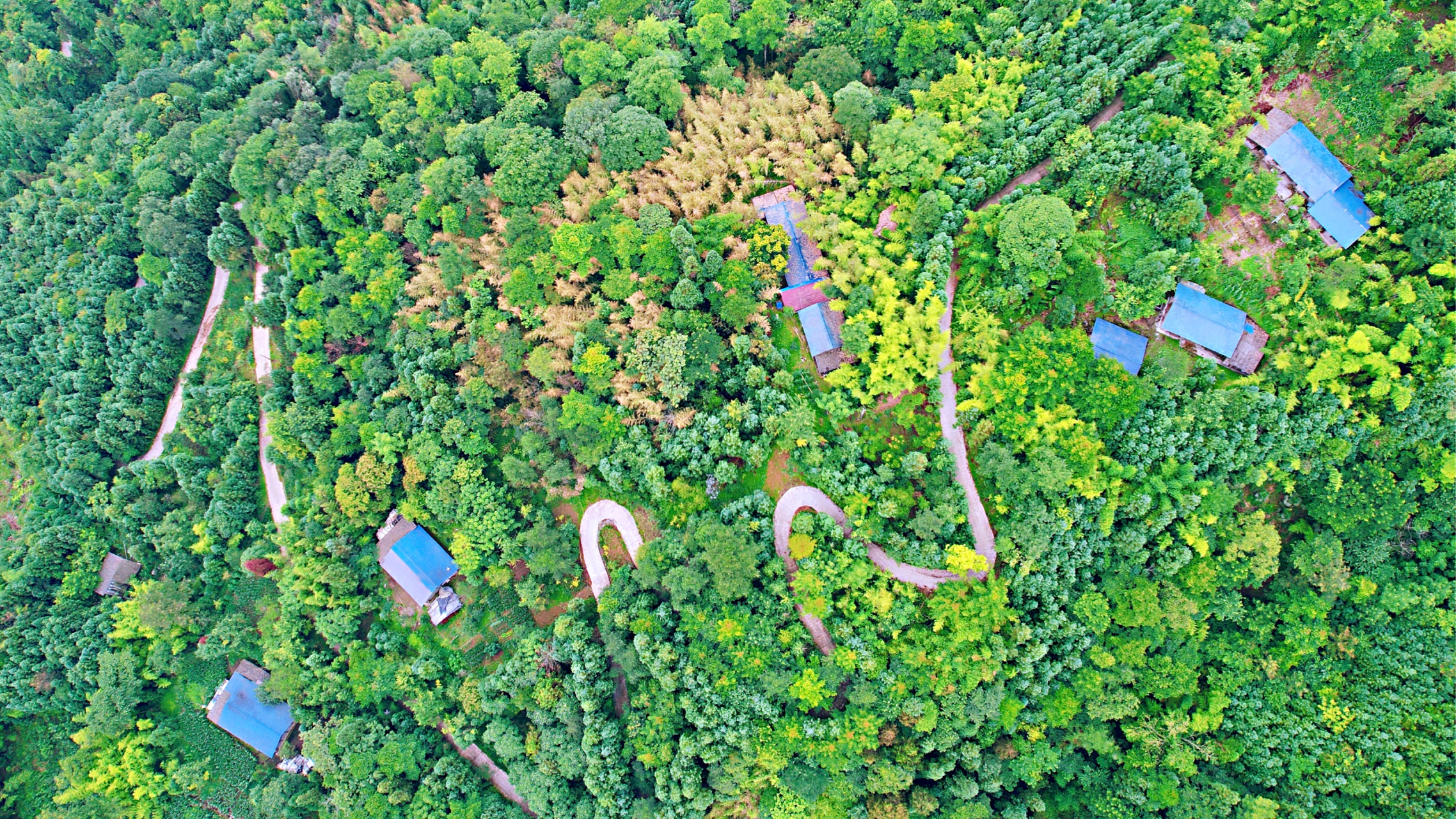 川渝避暑好去处 绵阳安州非来不可 夏日川渝旅游去哪玩,绵阳这个小众