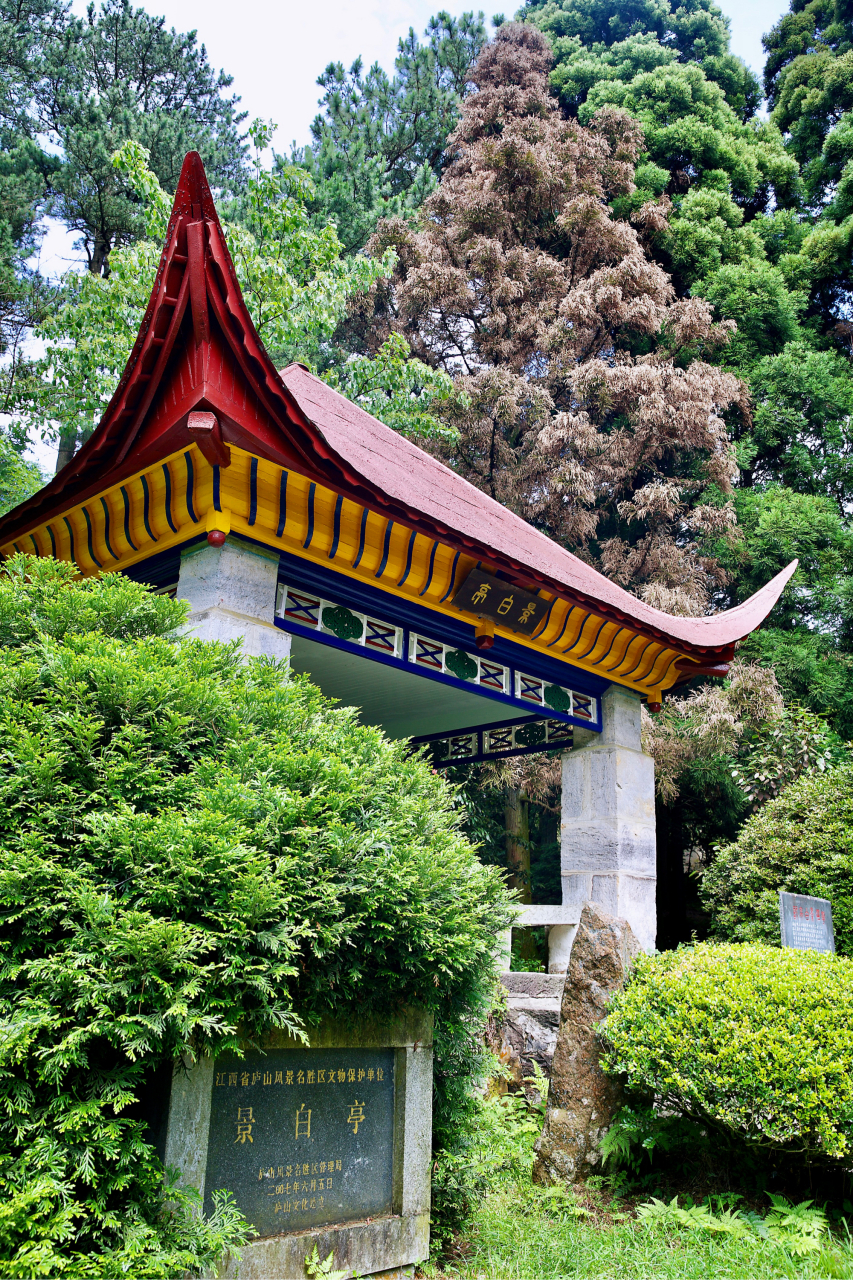庐山最优雅浪漫的景点 绿树成荫四季花开 99庐山花径  庐山旅游还有