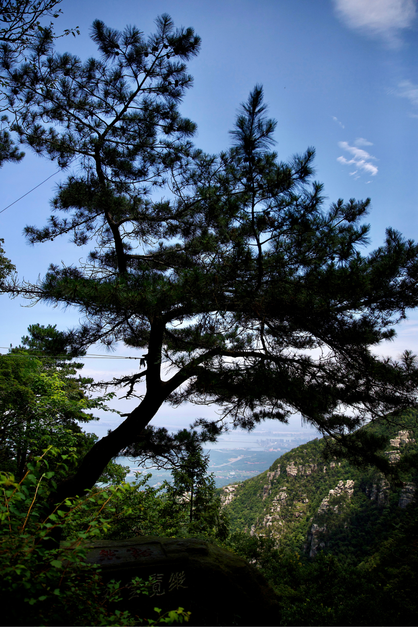 庐山锦绣谷,无限风光在险峰,非常值得游玩 99 庐山锦绣谷 02 庐山