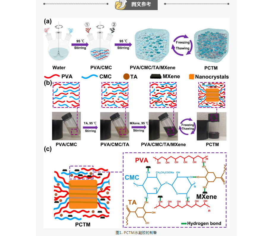 双网络(dn)导电水凝胶已成为可穿戴传感器的研究热点.
