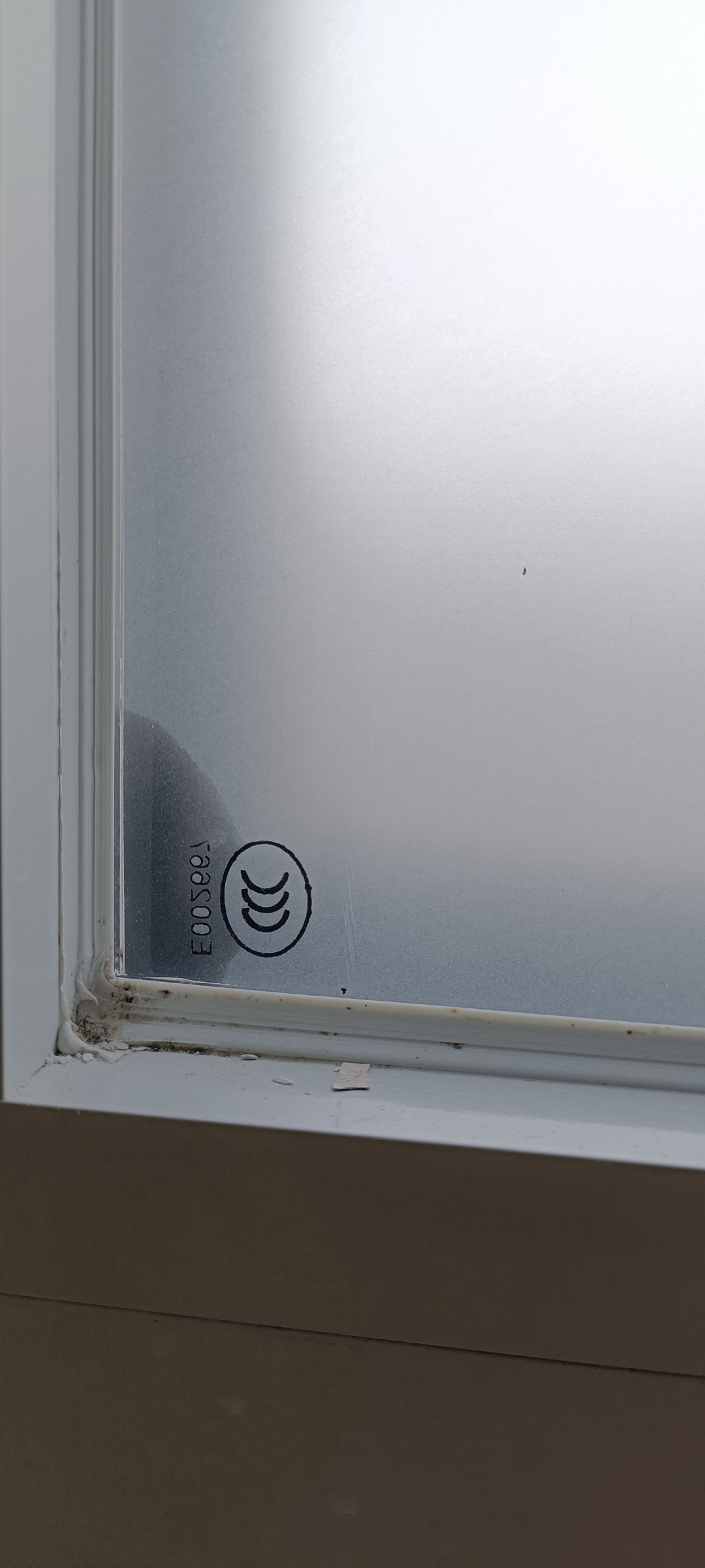 Left side window glass