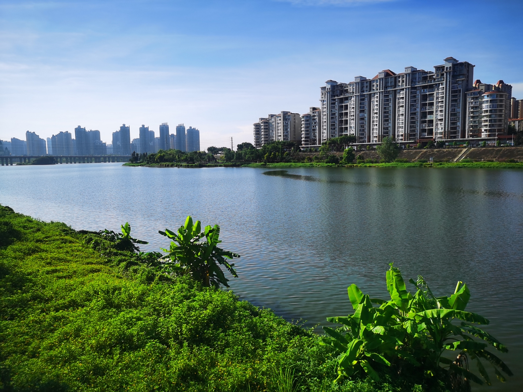 惠州,东平,西枝江