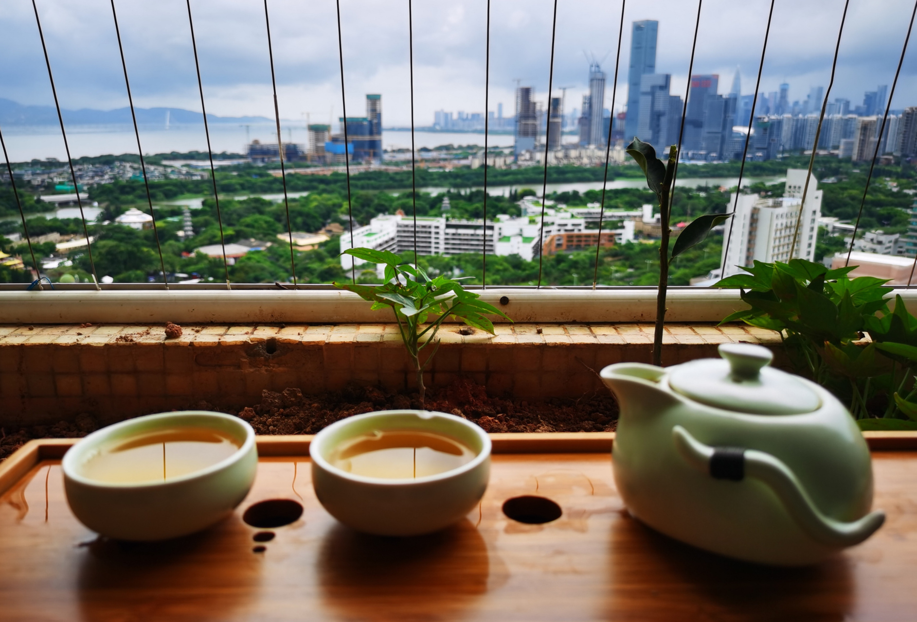 喝茶,读书