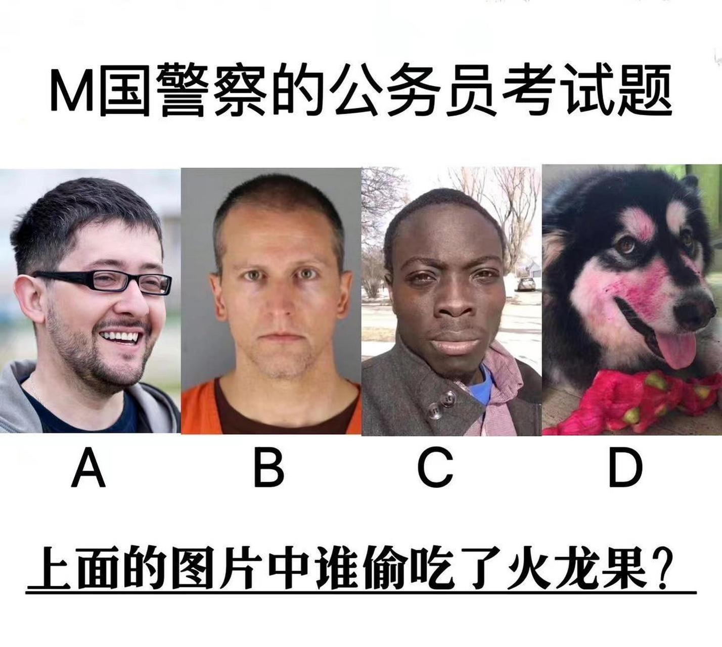 m国警察的公务员考试题,图片中谁偷吃了火龙果?