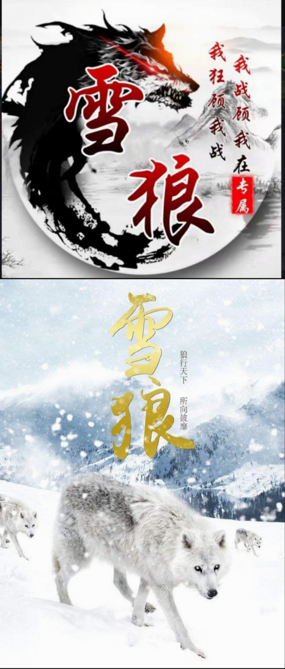 铠甲勇士#  看到那些雪狼的那些很霸气威武的图片,我想说的就是:我真