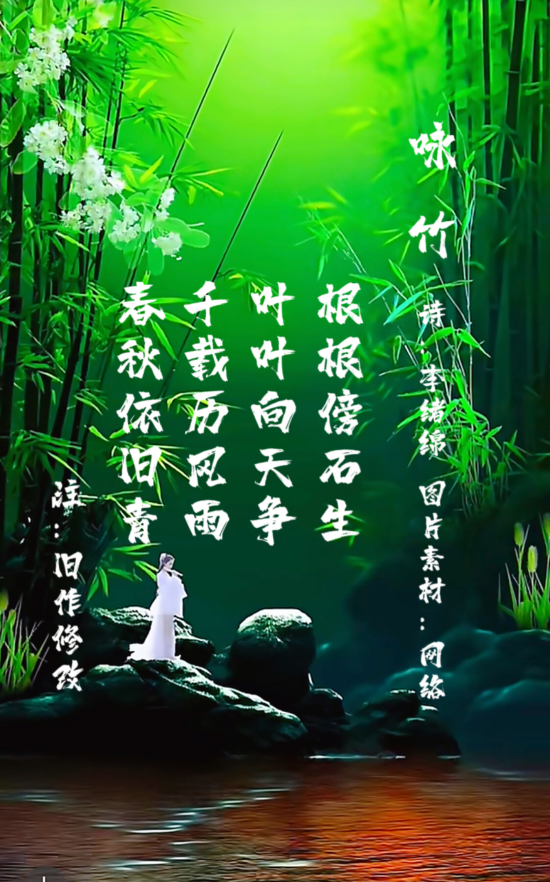 诗词曲联文苑# 咏竹