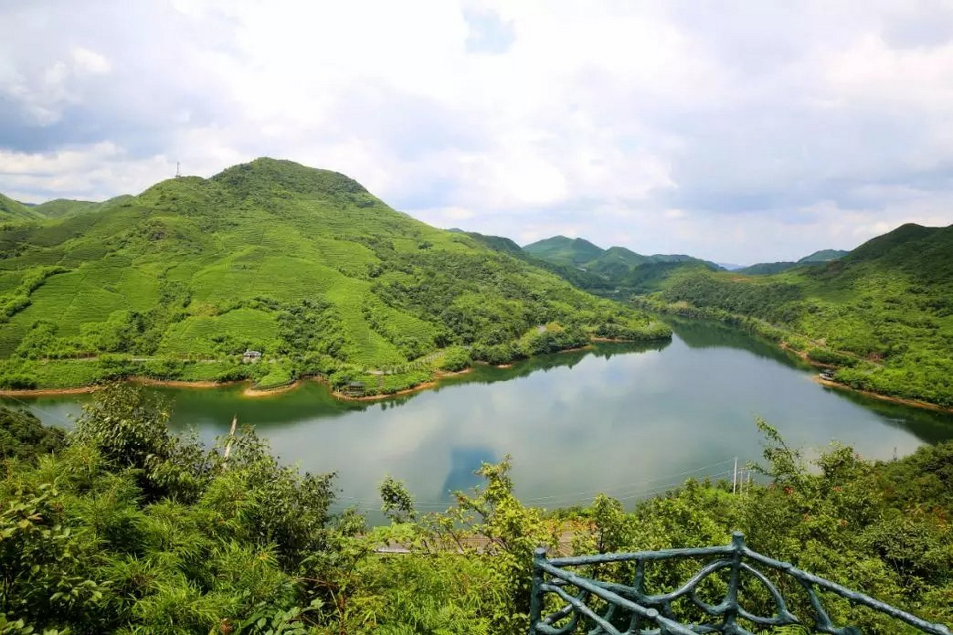 万物皆可云# 中国十大名茶之一的都匀毛尖的主产区就在螺丝壳茶园,它