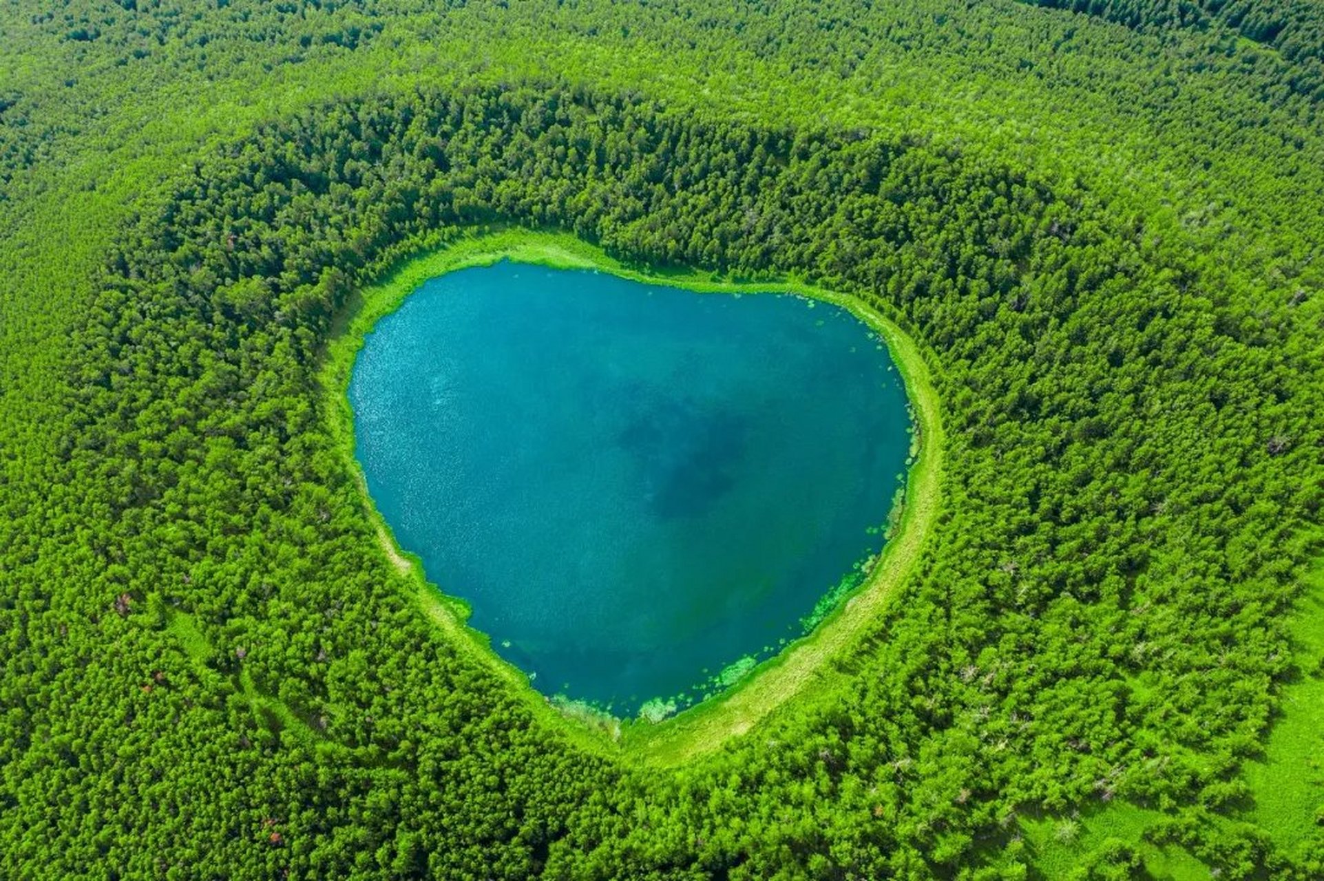 遇见好风景# 阿尔山天池就如镶嵌在万顷绿林中的一滴泪珠,森林公园