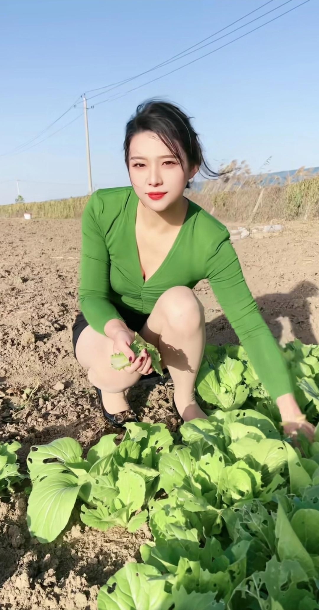 今天嫂子难得休息一次,她平日里就够辛苦的了,今天还要去地里拔点新鲜